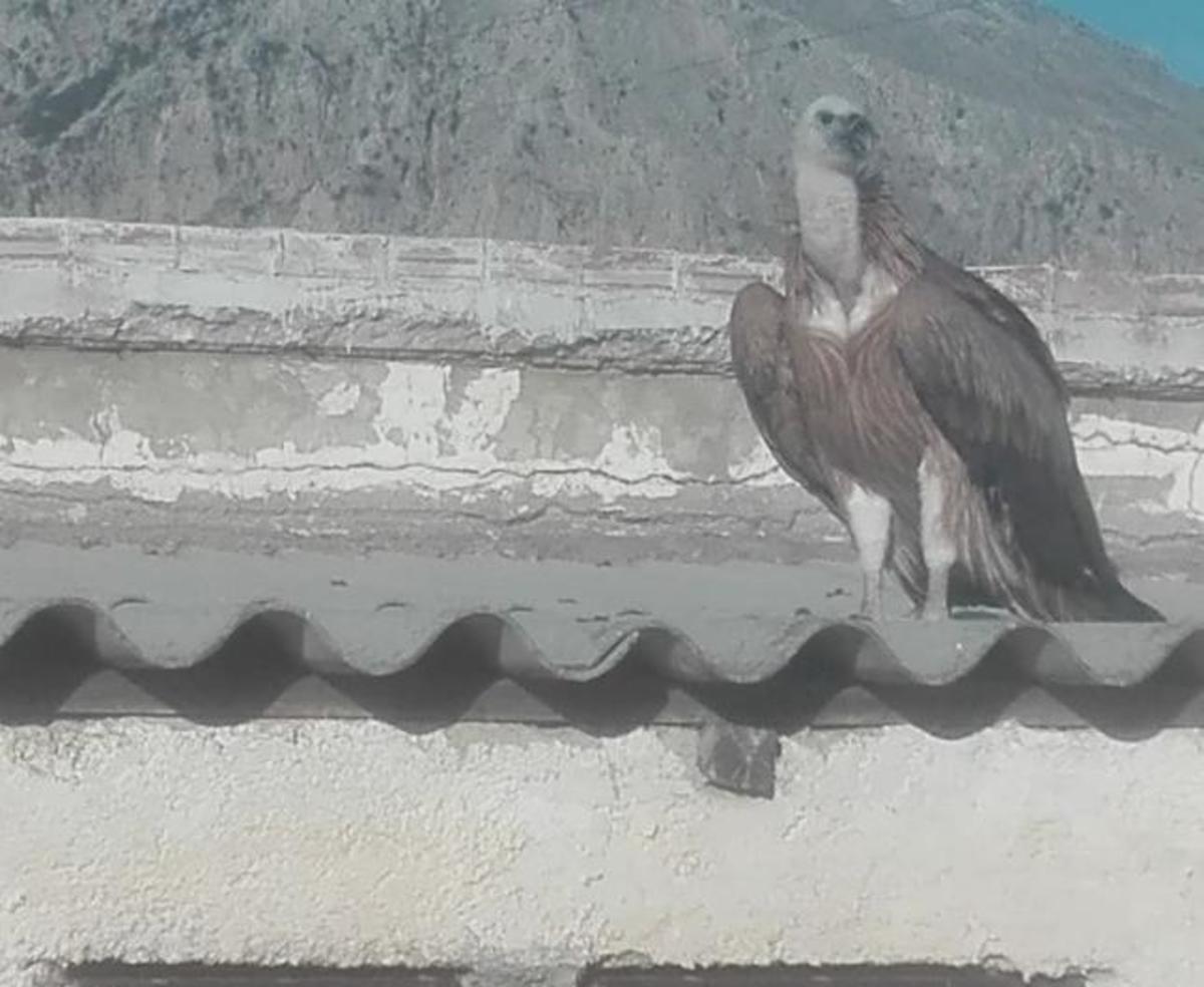 ΦΩΤΟ από το CretaPost