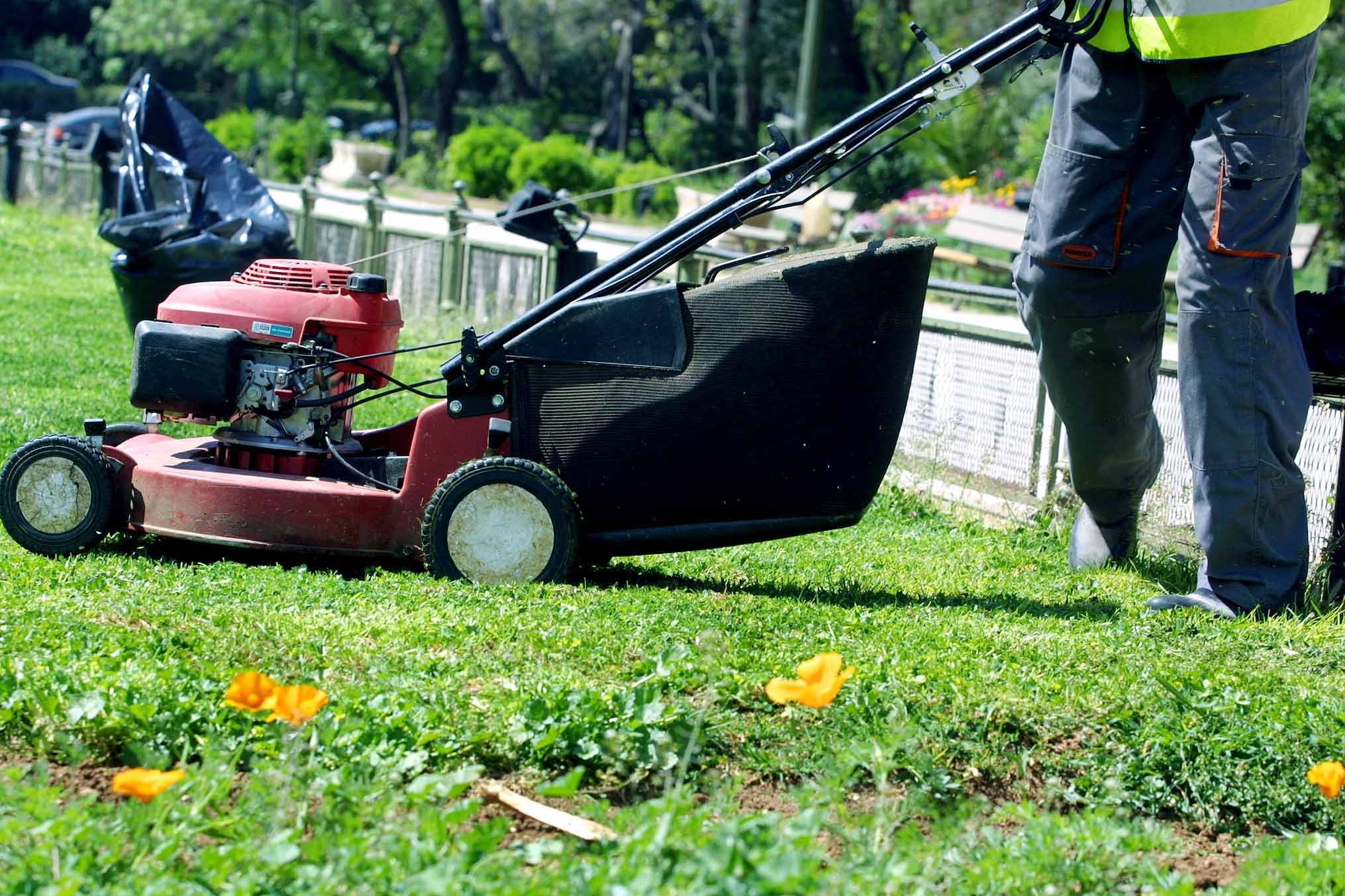 Ηλεία: Διαρρήκτες με έφεση στην… κηπουρική