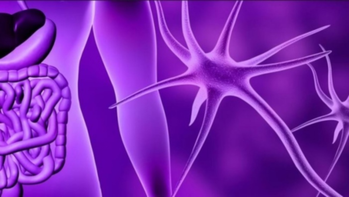 Αν έχετε αυτά τα συμπτώματα, σταματήστε αμέσως να τρώτε σιτάρι, κριθάρι και σίκαλη