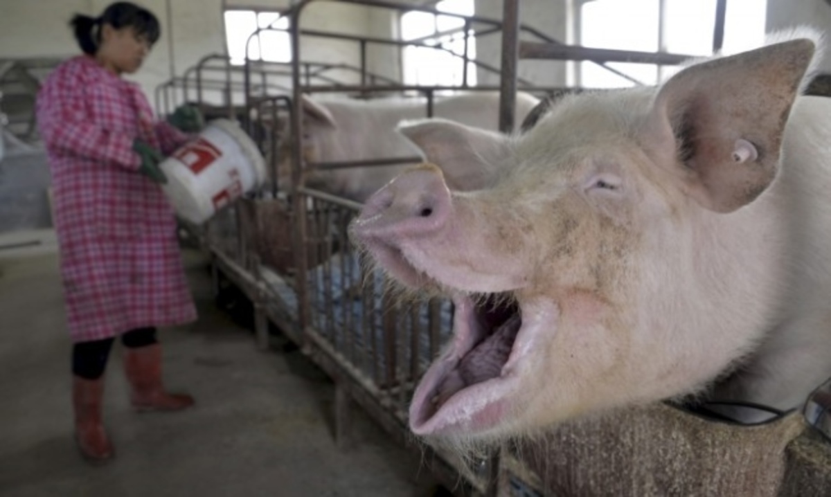 Παγκόσμιος συναγερμός από πολύ ανθεκτικό στα αντιβιοτικά γονίδιο – Τι γίνεται στην Κίνα