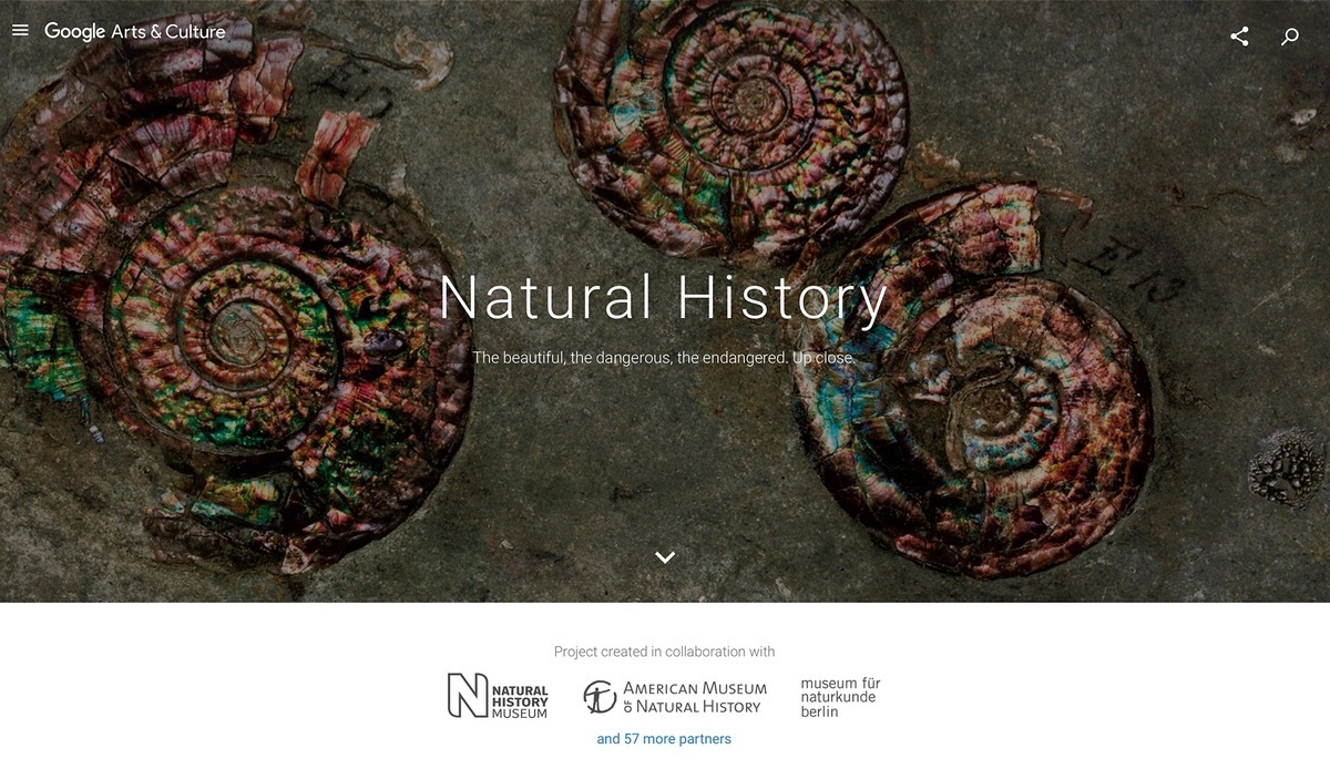 Η Google φέρνει τους δεινόσαυρους στο Google Arts & Culture