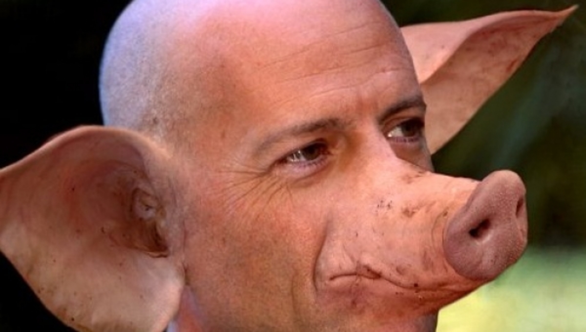 Μήπως είμαστε όλοι γουρούνια;