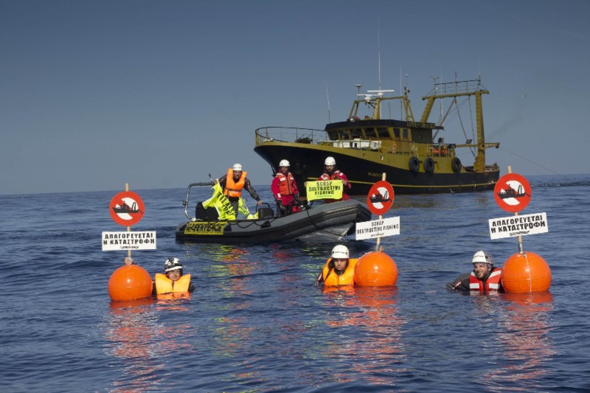 Αντιδράσεις για την σύλληψη των μελών της Greenpeace