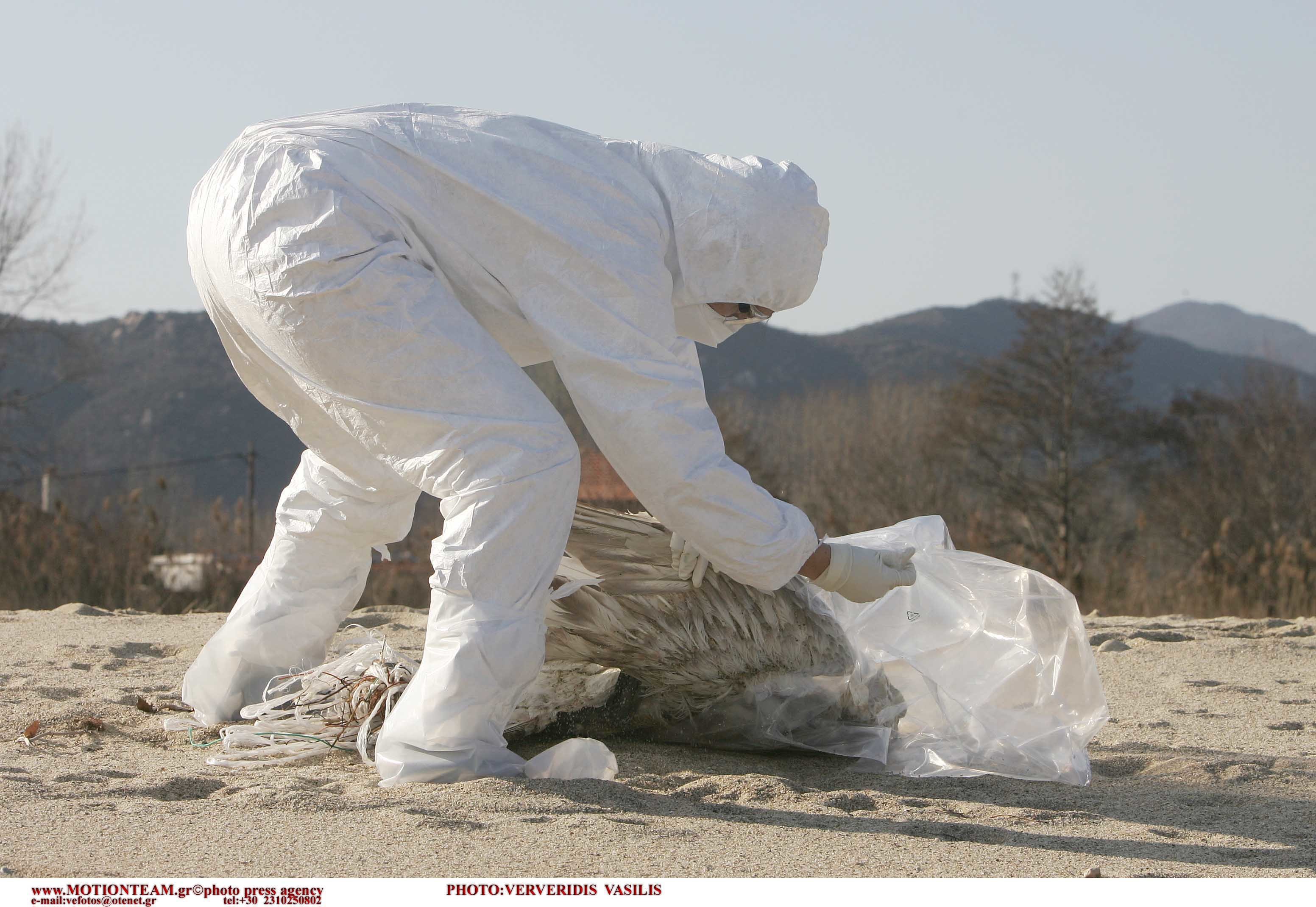 Δεύτερο κρούσμα του ιού H7N9 της γρίπης των πτηνών εντοπίστηκε σε άνθρωπο