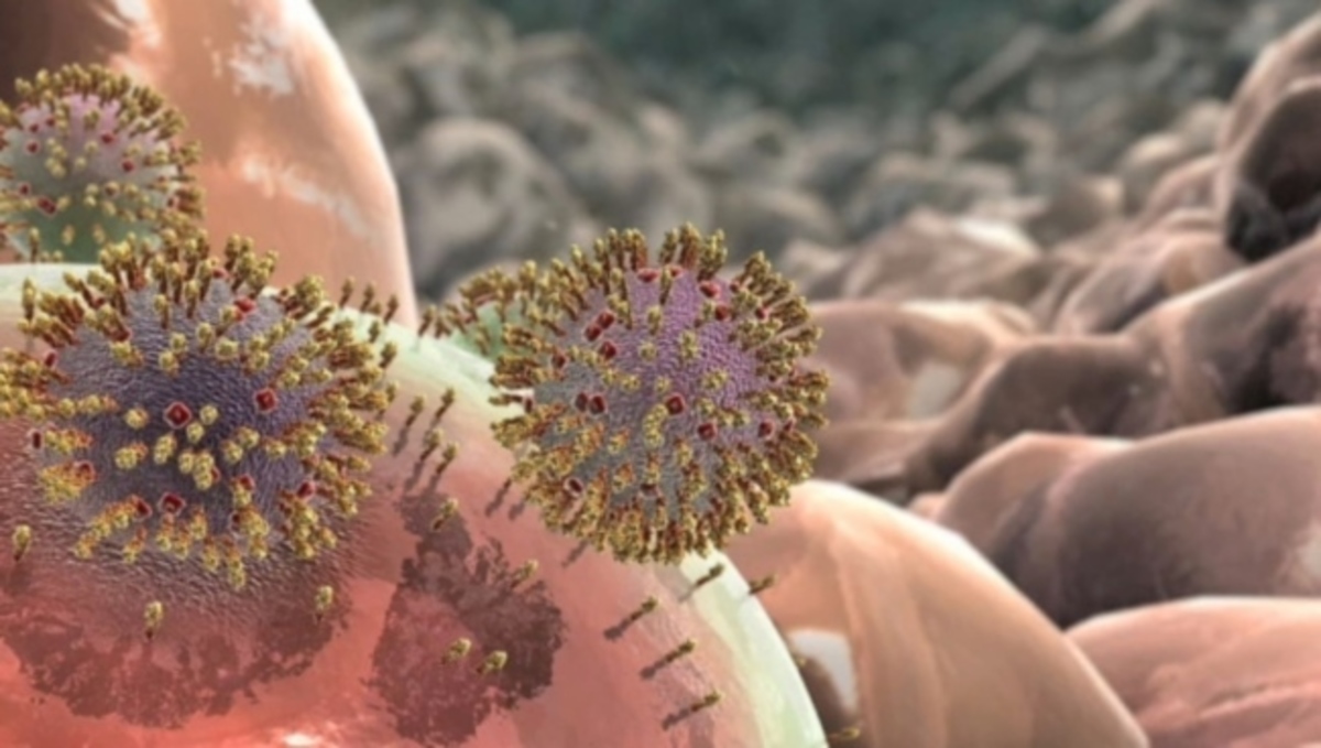 Τι ΔΕΝ ξέρατε για τον ιό της γρίπης – Δείτε πως εισβάλλει στον οργανισμό (ΒΙΝΤΕΟ)