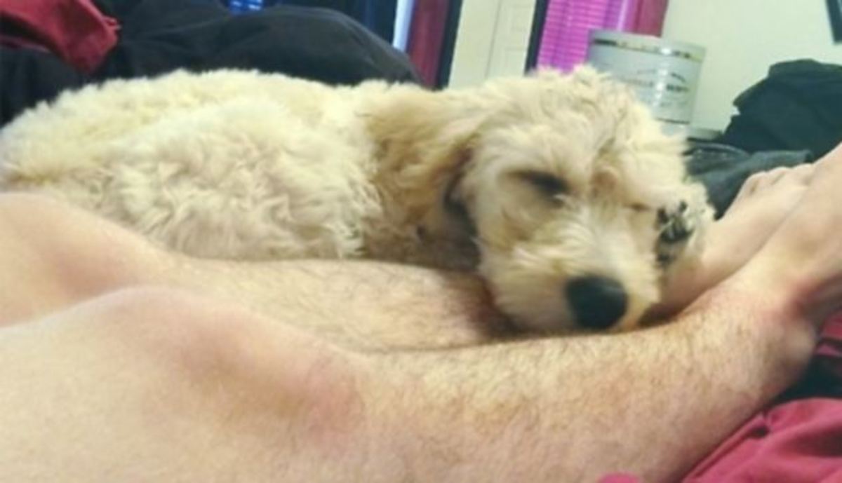 Χιλιάδες γυναίκες στο κίνημα για τα… αξύριστα πόδια! (ΦΩΤΟ)