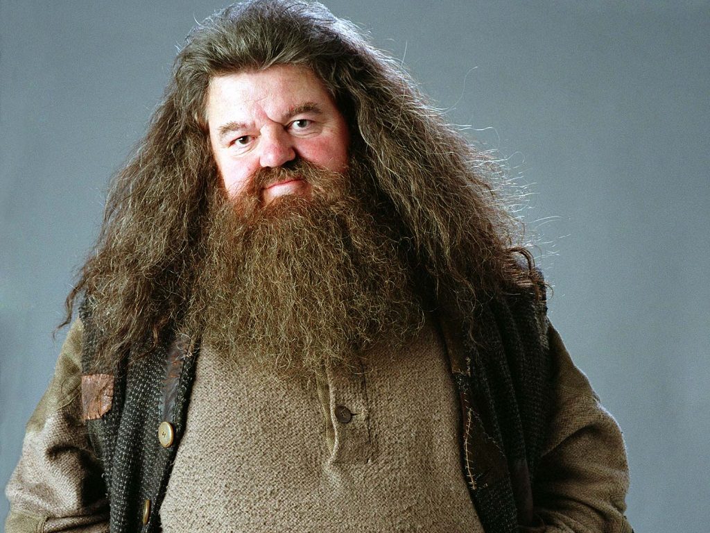 Στο νοσοκομείο ο… Hagrid του «Harry Potter»