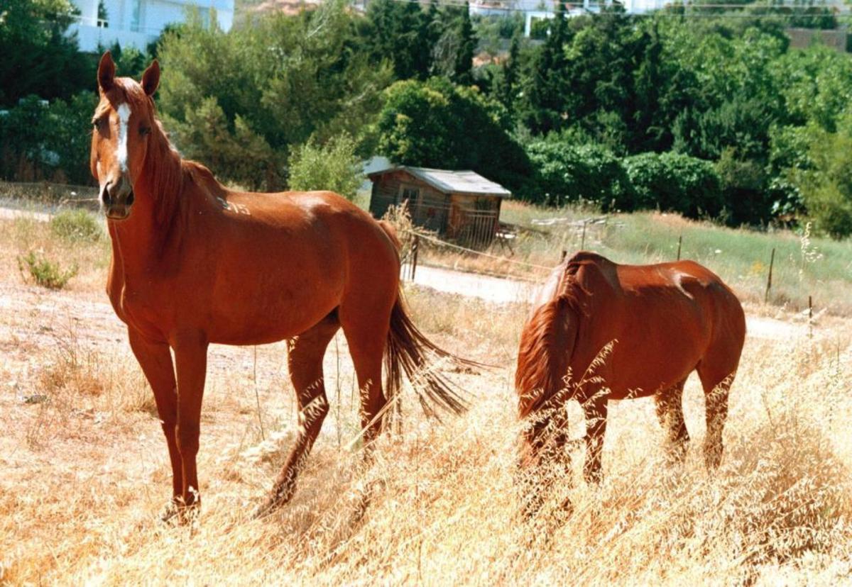 ΦΩΤΟ ΑΡΧΕΙΟΥ EUROKINISSI