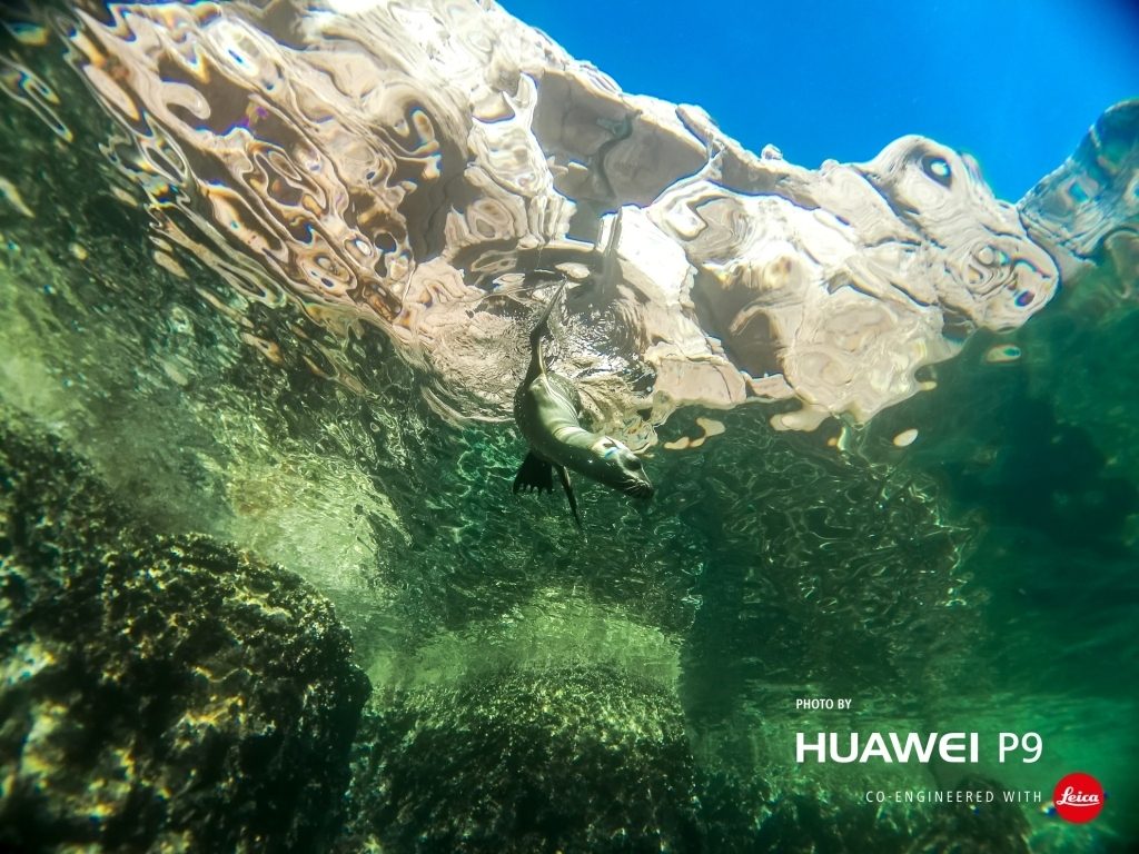 Huawei P9: Η φωτογράφιση με smartphones σε νέα διάσταση