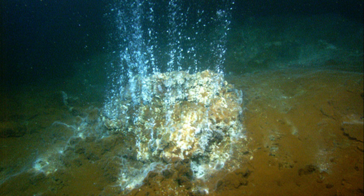 ΦΩΤΟ από oceanexplorer.noaa.gov