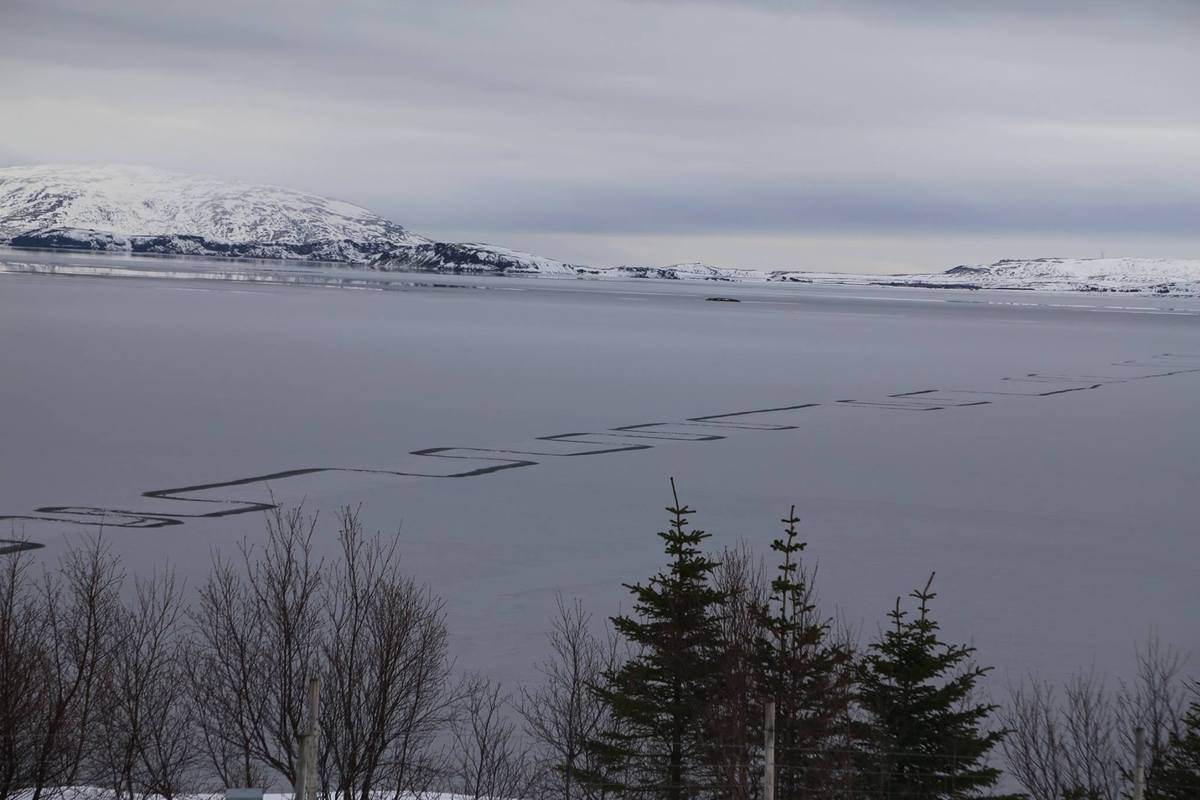 Περίεργο φαινόμενο σε λίμνη της Ισλανδίας τρομάζει τους κατοίκους [pics]