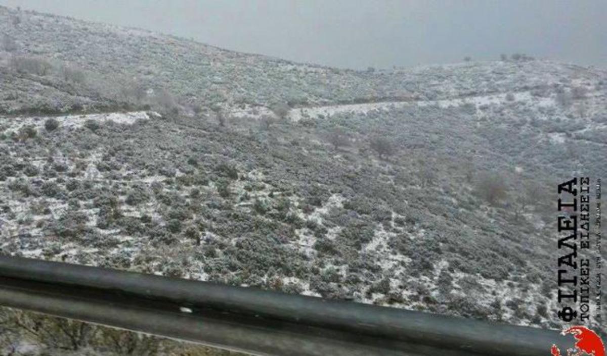 ΦΩΤΟ από το ΦΙΓΑΛΕΙΑ ΤΟΠΙΚΕΣ ΕΙΔΗΣΕΙΣ