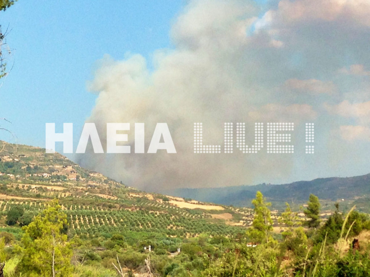 Εικόνα από το iliaLive