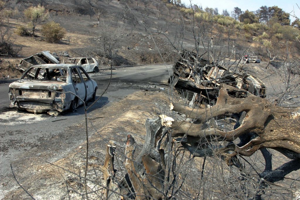 Ηλεία: Πόρισμα σοκ! Αποχαρακτήρισαν τα καμμένα του 2007!