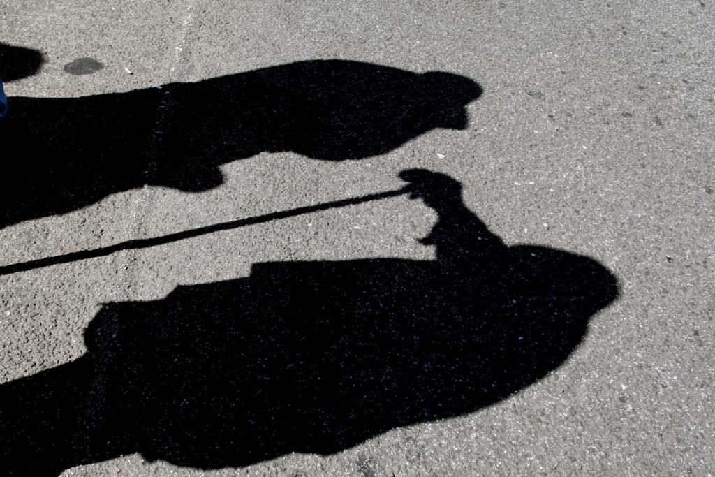 Εξάρθρωση σπείρας που απήγαγε, ξυλοκόπησε και λήστεψε ηλικιωμένο