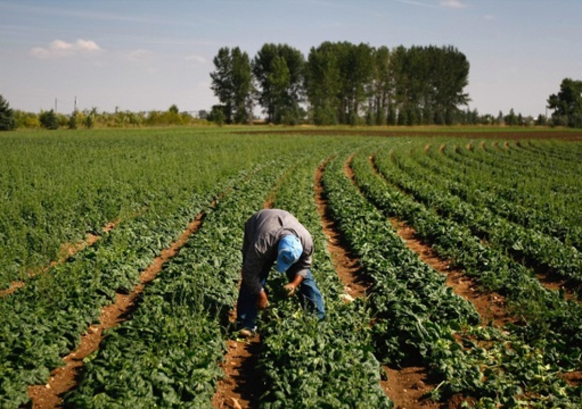 Πάνω απο 30% η αδήλωτη εργασία σε τουριστικές περιοχές