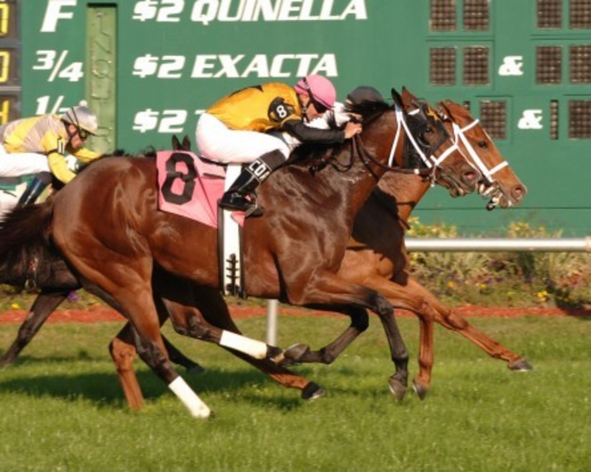 ΦΩΤΟ ΑΡΧΕΙΟΥ