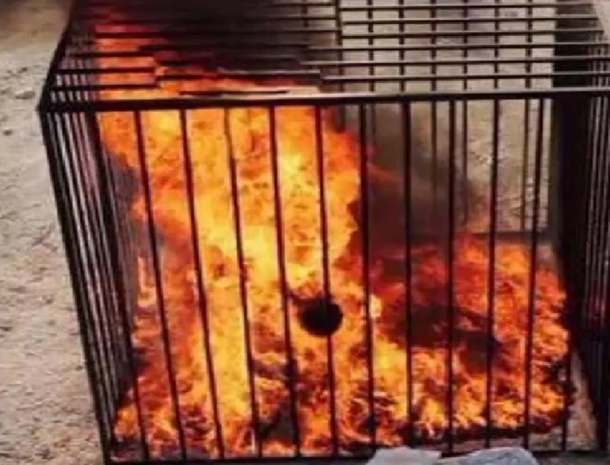 Παγκόσμιο σοκ – Τζιχαντιστές έκαψαν ζωντανό τον Ιορδανό αιχμάλωτο (ΒΙΝΤΕΟ & ΦΩΤΟ)
