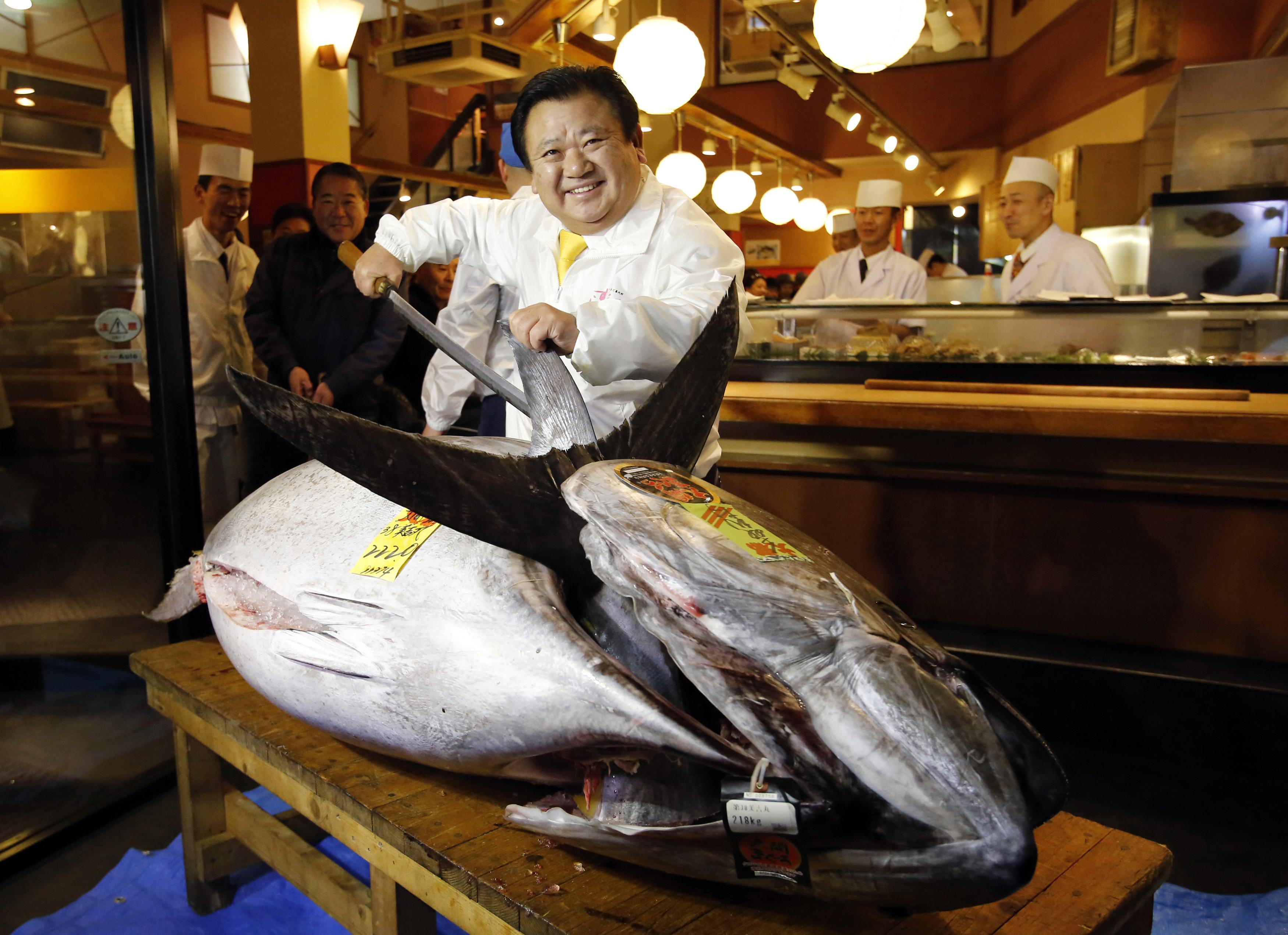 Мясо дорогих рыб. Голубой тунец весом 278 кг. 222-Ух килограммовый голубой тунец. Самая дорогая рыба.