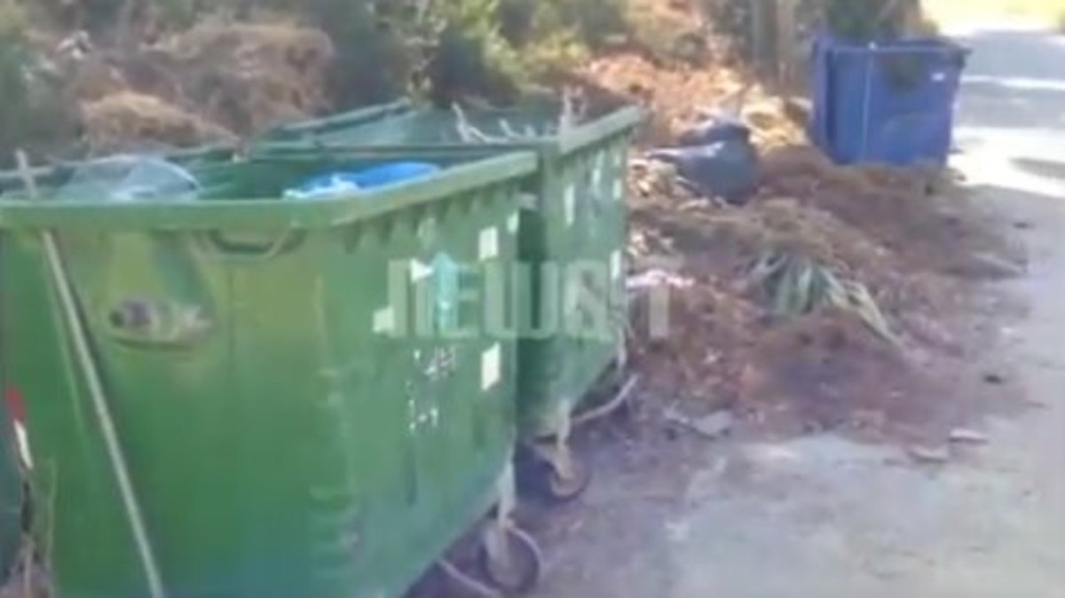 Πτώμα σε κάδους