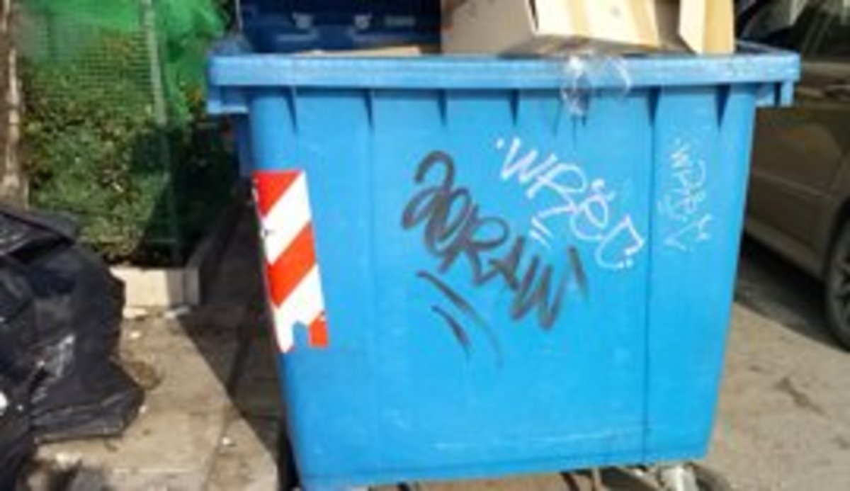 Θεσσαλονίκη: Κάδος ανακύκλωσης “κλείνει” ράμπα αναπήρων  – ΦΩΤΟ