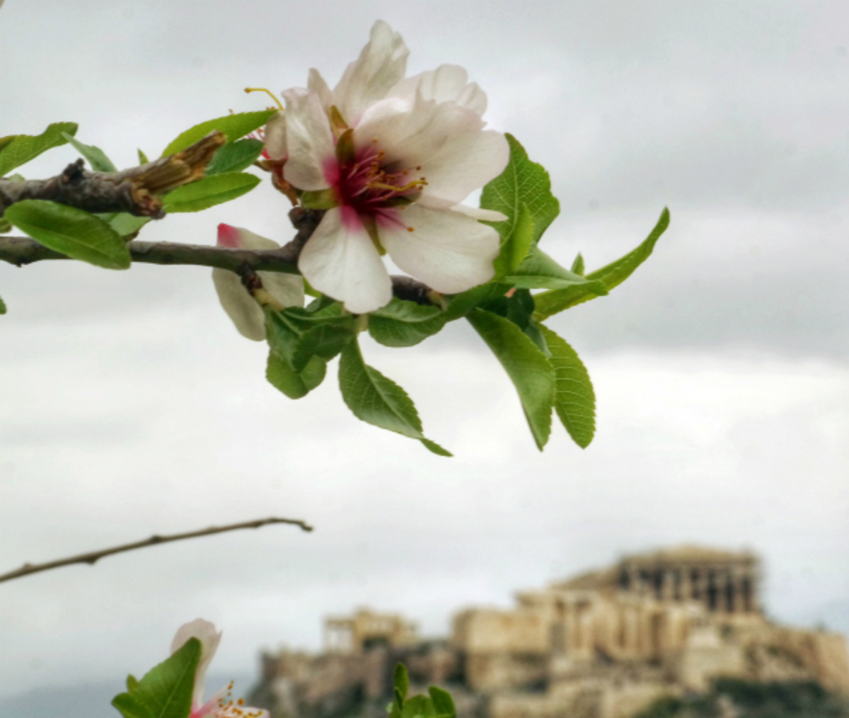 Καιρός: Έρχονται βροχές – Η πρόγνωση της Παρασκευής