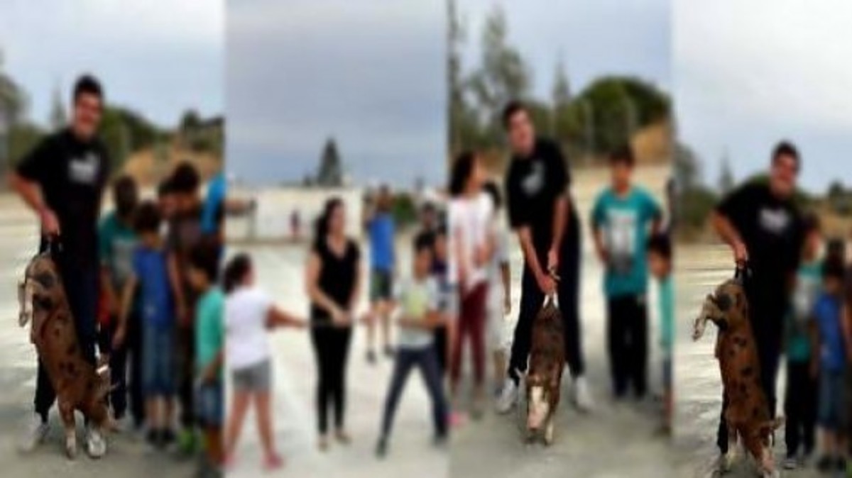 Σοκ! Το “παιχνίδι” της νηπιαγωγού με τους μαθητές της ήταν άγριος βασανισμός ζώων!