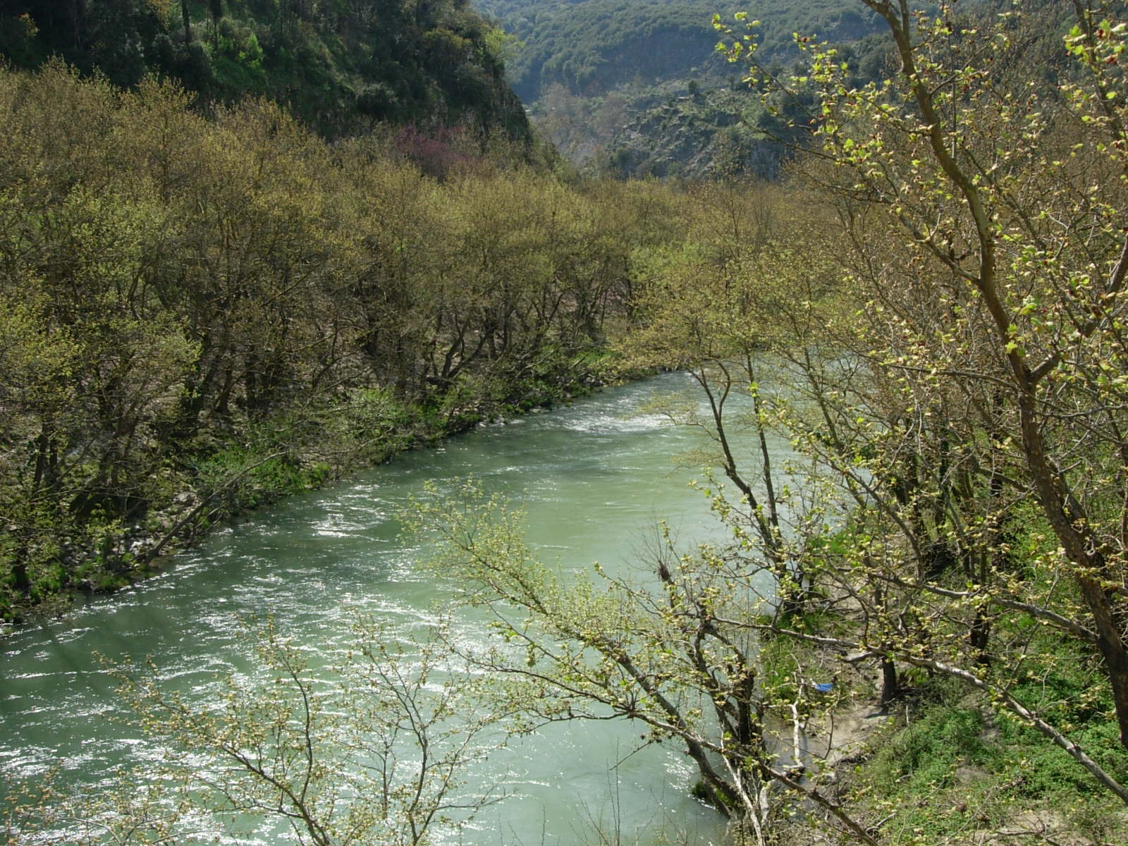 Η Κομισιόν δεν εκπλήρωσε τις δεσμεύσεις της για τον Καλαμά