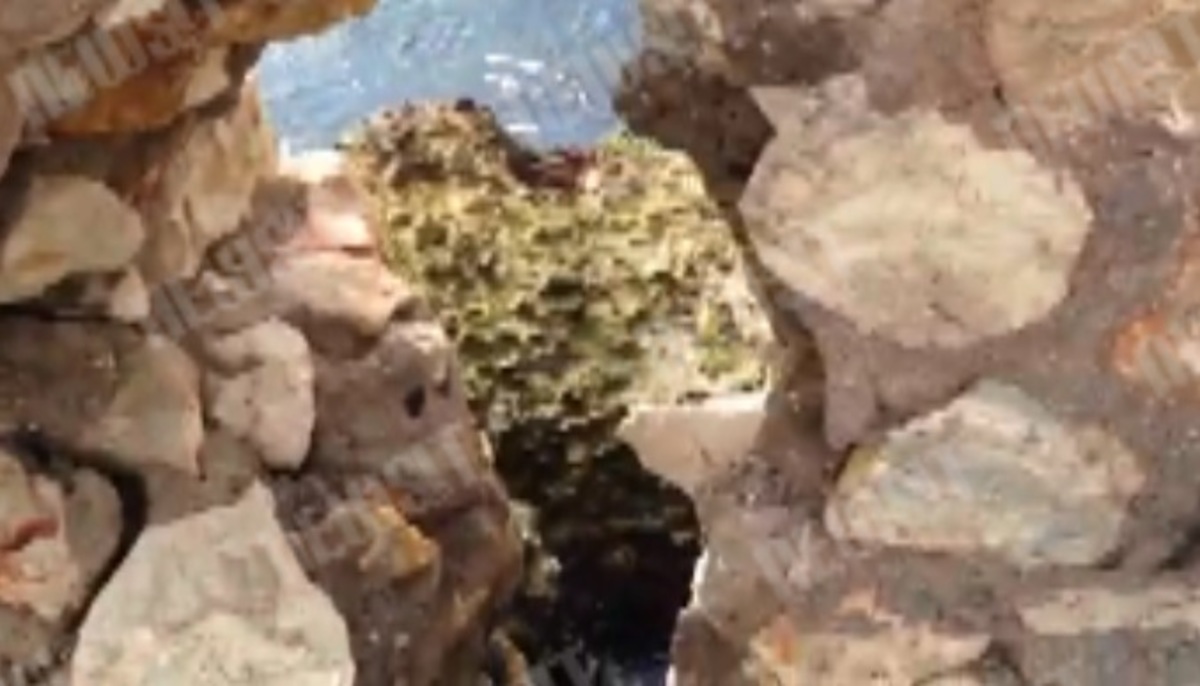 Τα καλάσνικοφ του μακελάρη