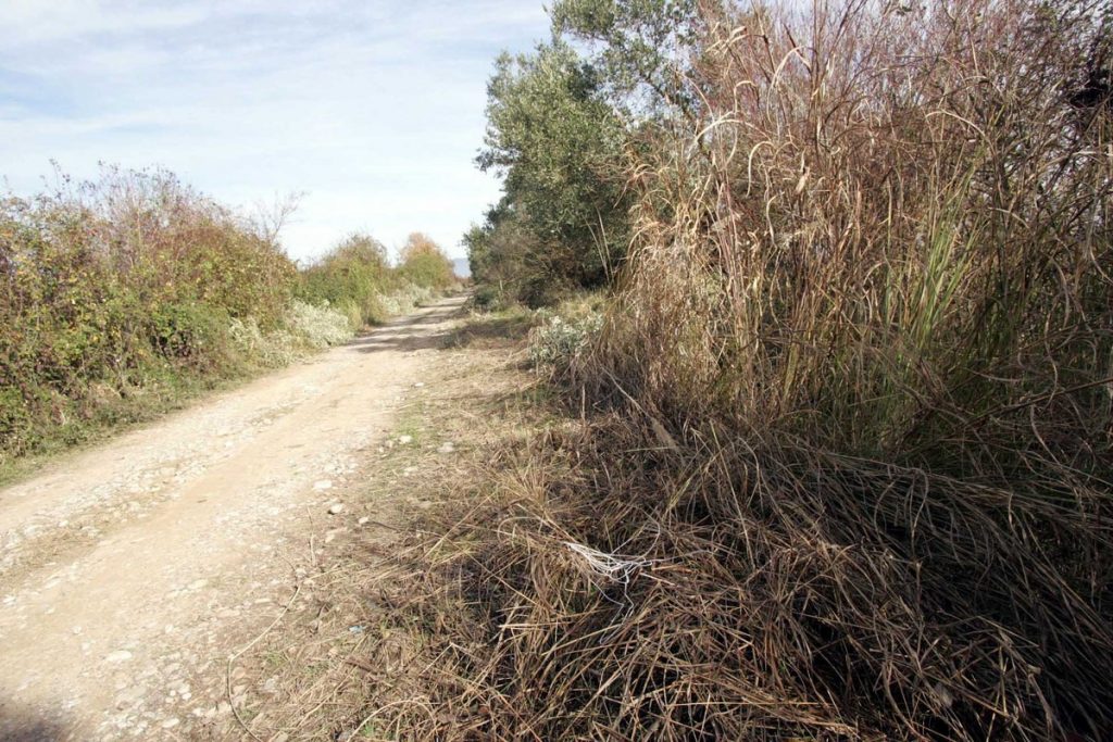 Προειδοποιήσεις για την έναρξη της κυνηγετικής περιόδου