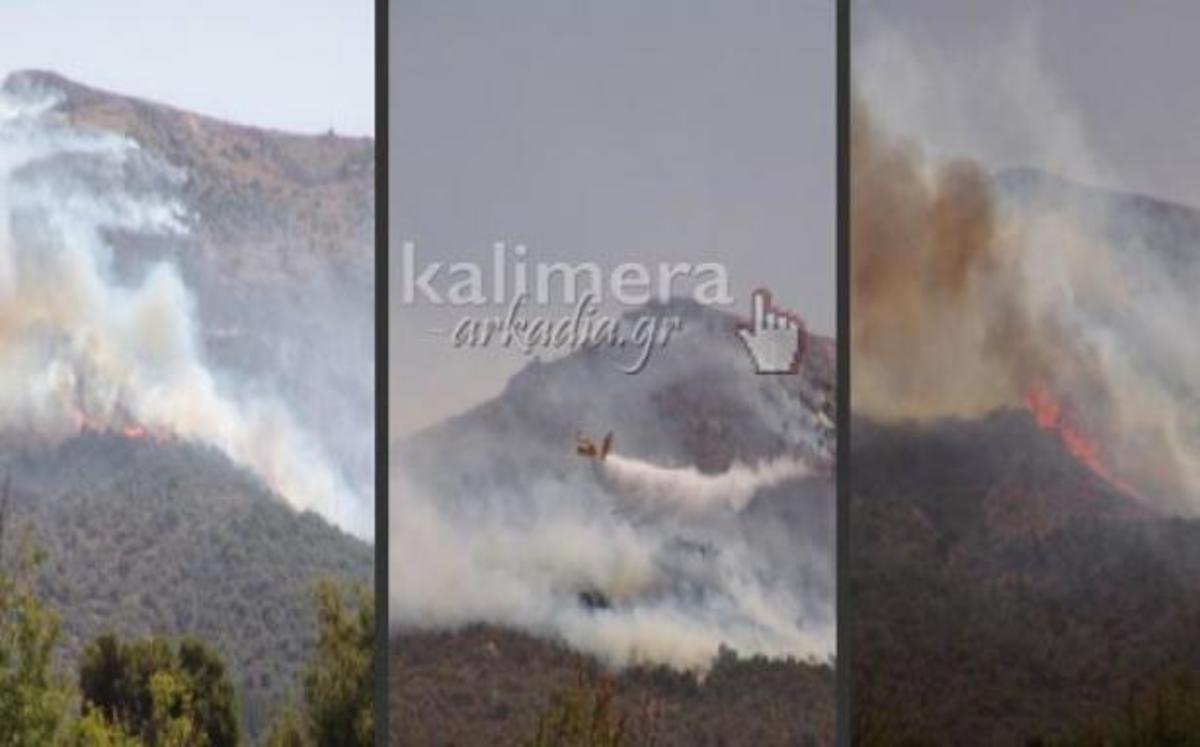 ΦΩΤΟ από το kalimera-arkadia