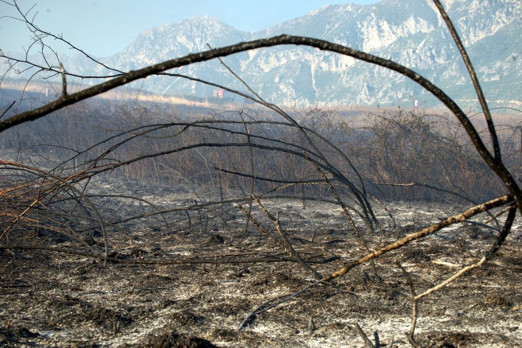Στάχτη 70 στρέμματα στο Ρέθυμνο