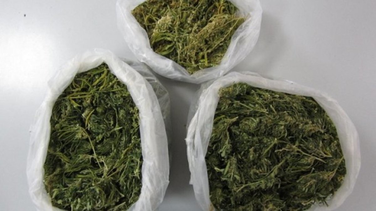 Ηράκλειο: Η έφοδος έβγαλε “λαβράκι”