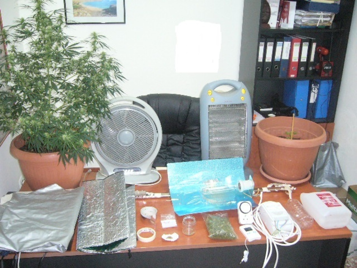 ΦΩΤΟ από cretalive.gr