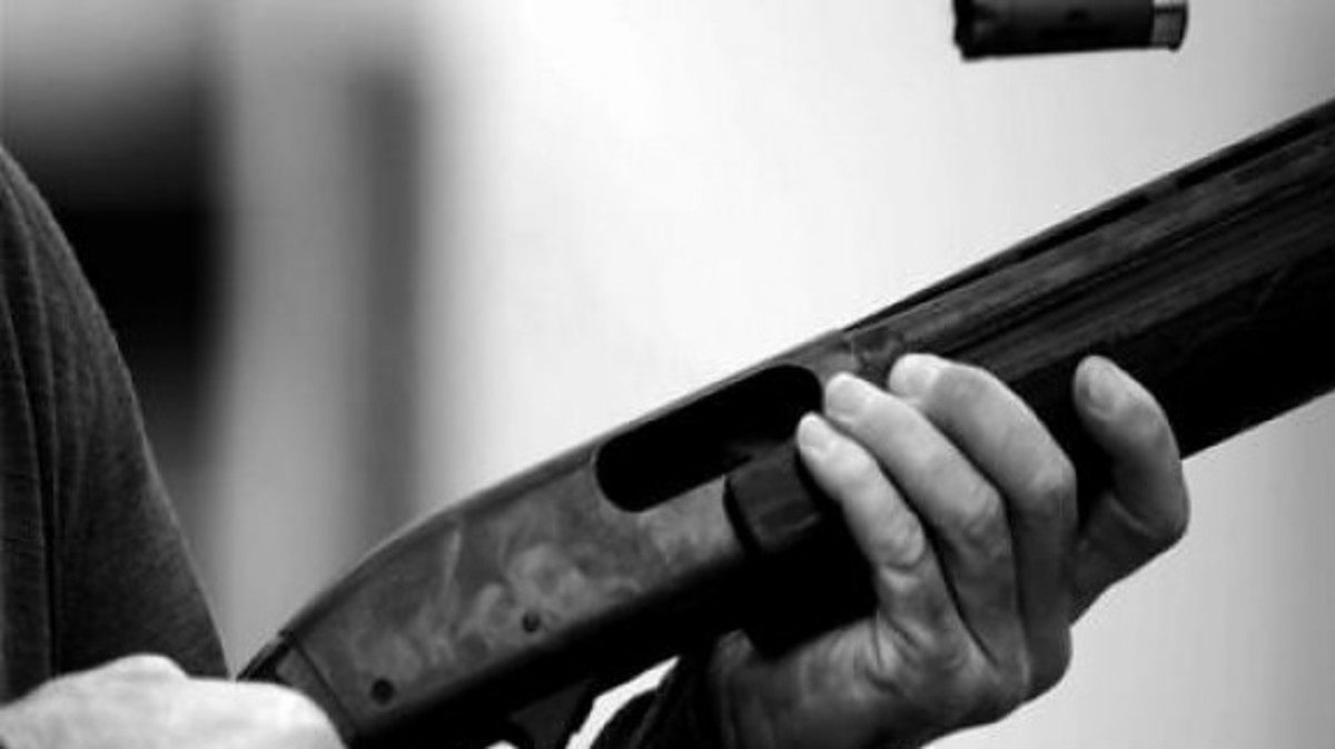 Τους δηλητηρίασαν το σκύλο και βγήκαν με όπλα πυροβολώντας στο δρόμο!