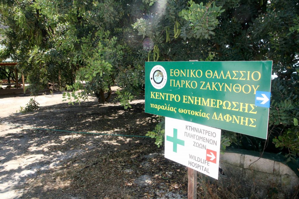 Η Ελλάδα στο Ευρωπαϊκό Δικαστήριο για τις χελώνες καρέτα καρέτα