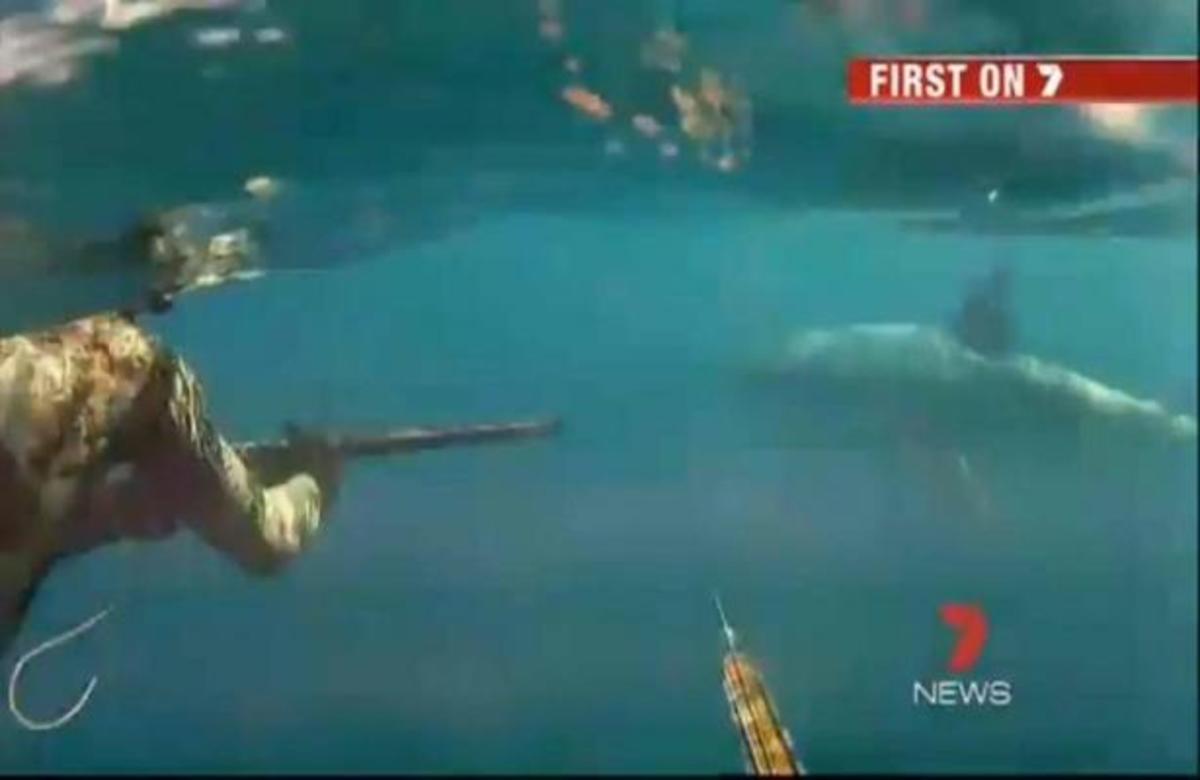 ΑΠΙΣΤΕΥΤΟ! Δυο δύτες ήρθαν σε στενή επαφή με λευκό καρχαρία