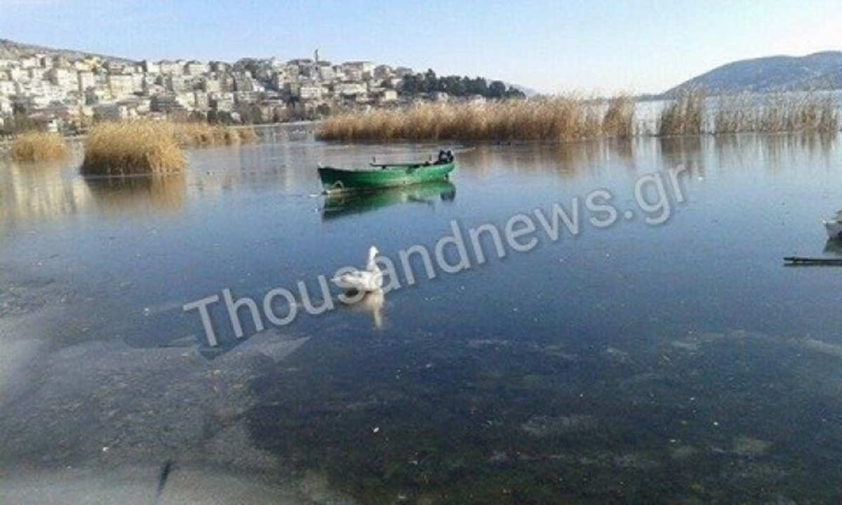 ΦΩΤΟ από thousandnews