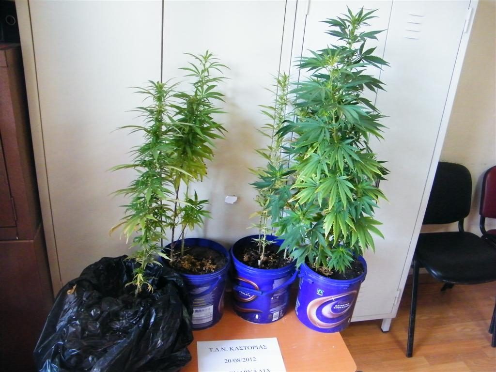 φωτό από astynomia.gr