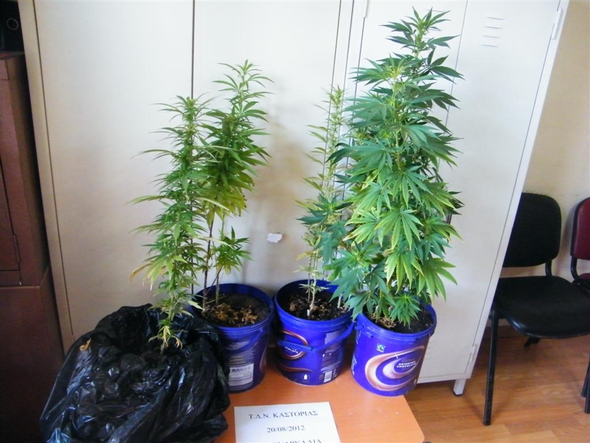 φωτό από astynomia.gr