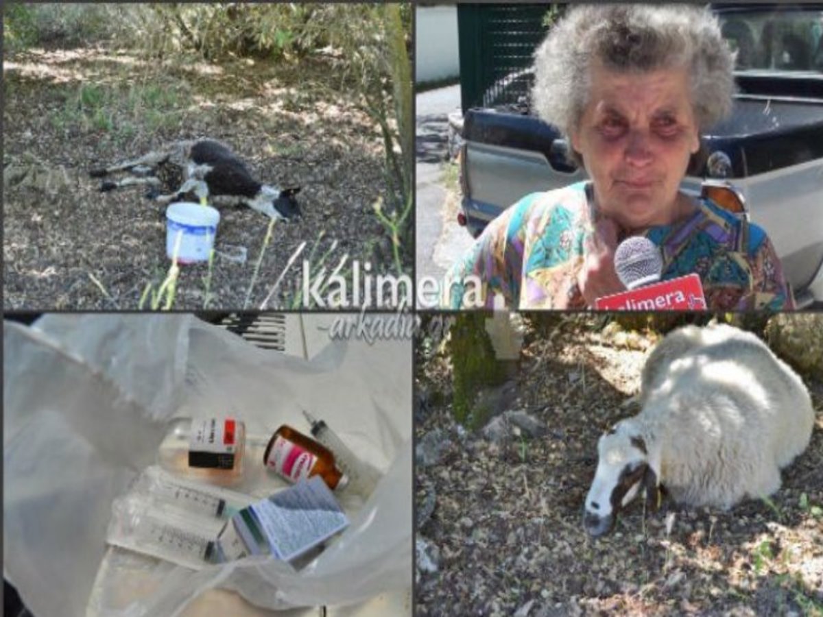 ΦΩΤΟ - kalimera-arkadia.gr
