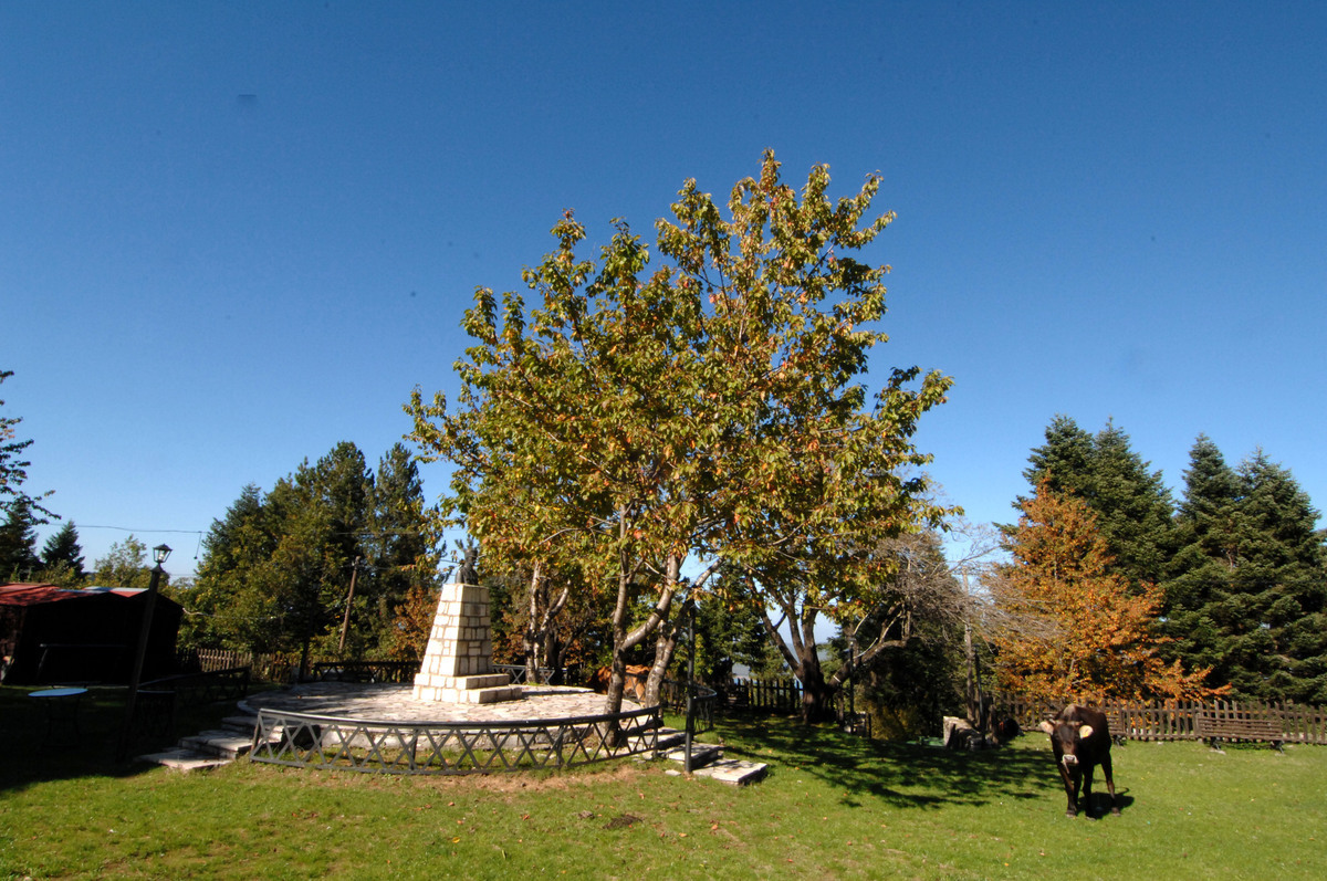 ΦΩΤΟ ΑΡΧΕΙΟΥ EUROKINISSI