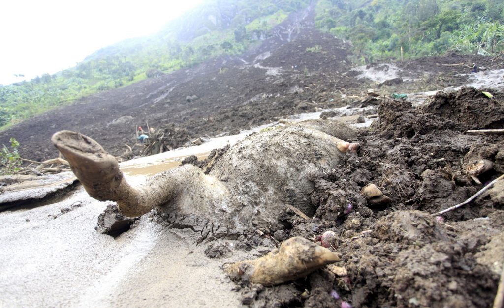ΦΩΤΟ ΑΡΧΕΙΟΥ REUTERS