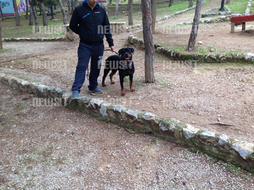 Πρωτοφανές! Έβαλε το σκύλο του να δαγκώσει γυναίκα για τη ληστέψει