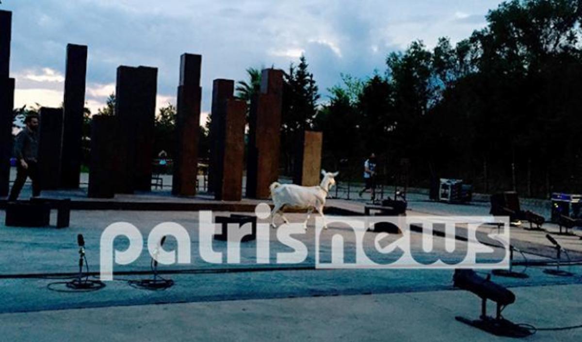 Πάτρα: Εισβολή κατσίκας έκανε άνω κάτω το θέατρο “Ολυμπία”! (ΒΙΝΤΕΟ)