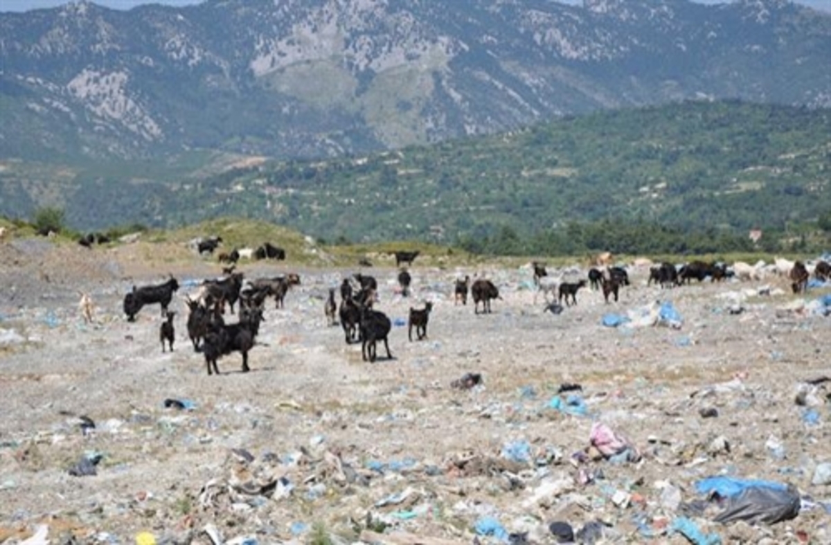 ΦΩΤΟ από evianews.com