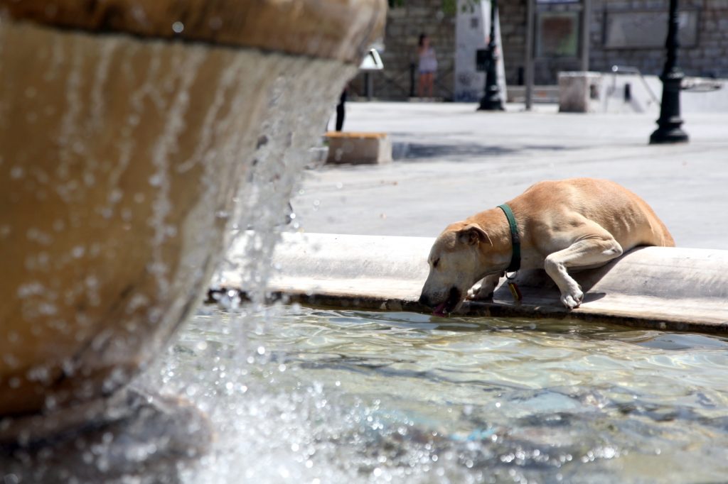 Καμίνι όλη η χώρα – Στους 39 το θερμόμετρο