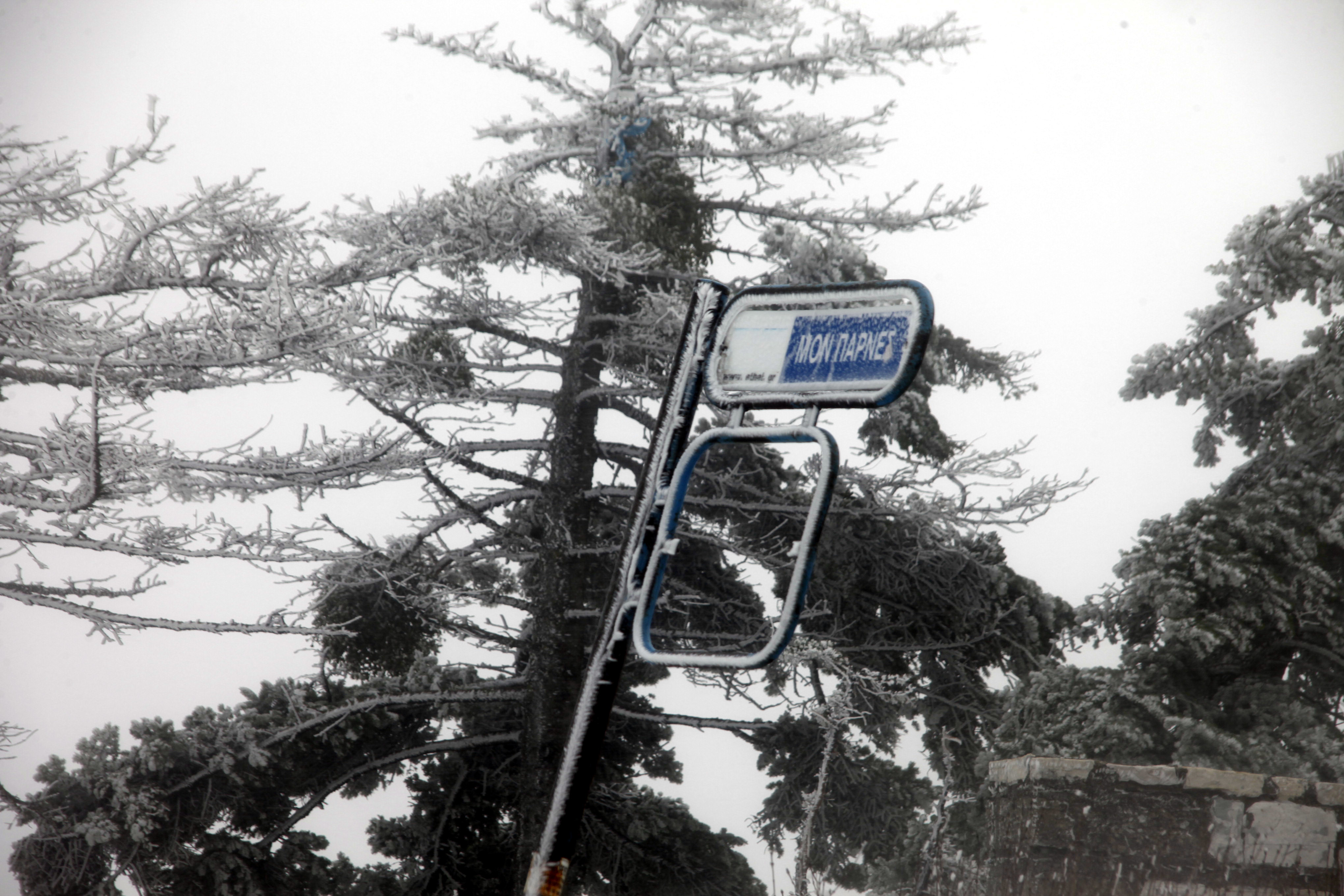 ΦΩΤΟΓΡΑΦΙΑ ΑΡΧΕΙΟΥ