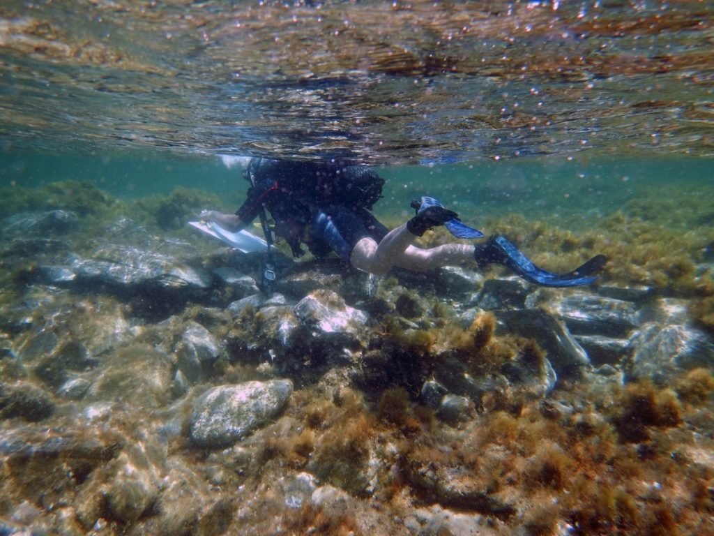 ΦΩΤΟ EUROKINISSI