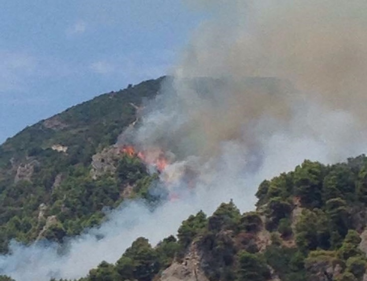 ΦΩΤΟ από το corfupress